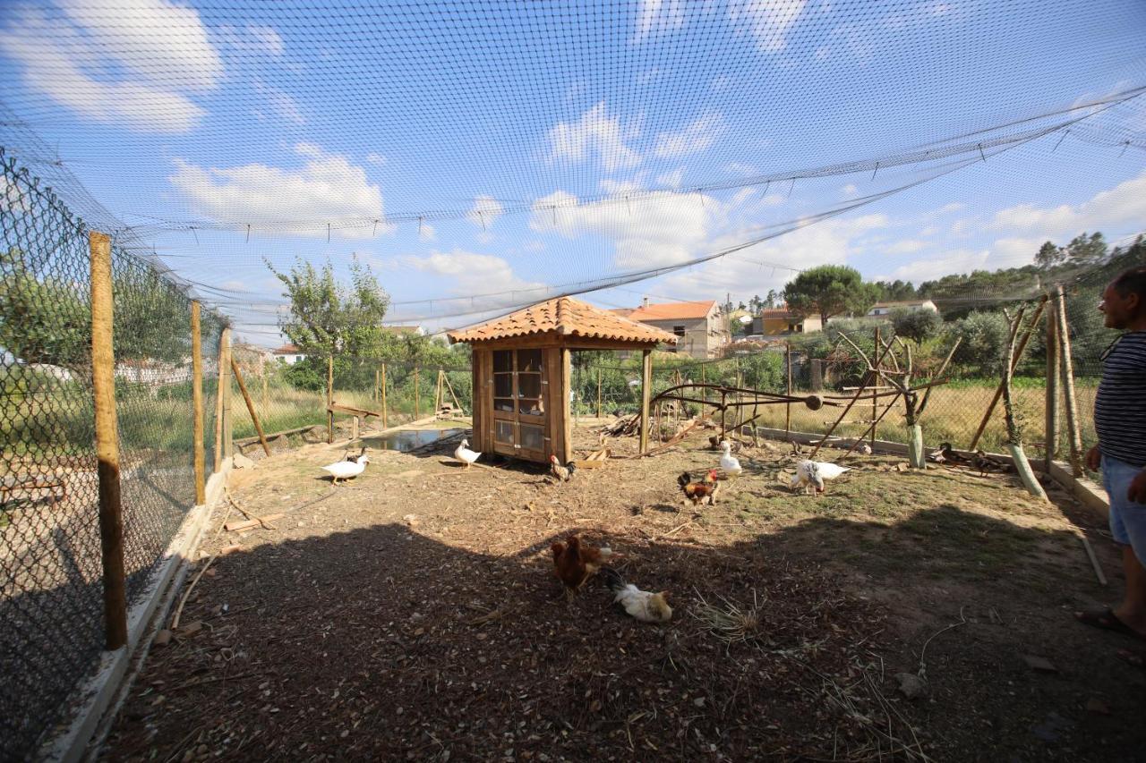 Apartamentos Rurais - Casas Do Lagar Rosmaninhal  Экстерьер фото